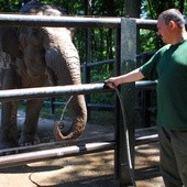 Upały w zoo