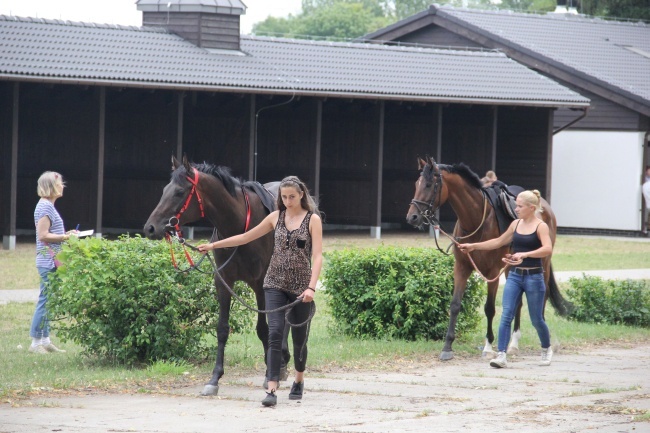 Wyścigi konne 2015