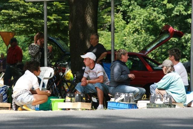 Krkonoše nie dla jagodziarzy