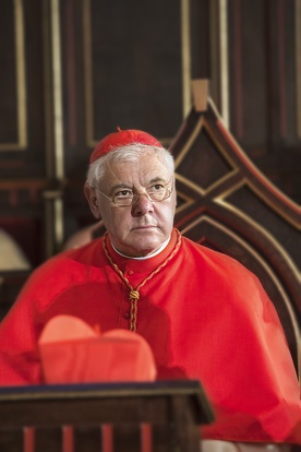 Kard. Gerhard Ludwig Müller  (ur. 1947) – niemiecki teolog, w latach 2002–2012 biskup Ratyzbony, mianowany przez Benedykta XVI w 2012 r. prefektem Kongregacji Nauki Wiary, a przez papieża Franciszka kardynałem.