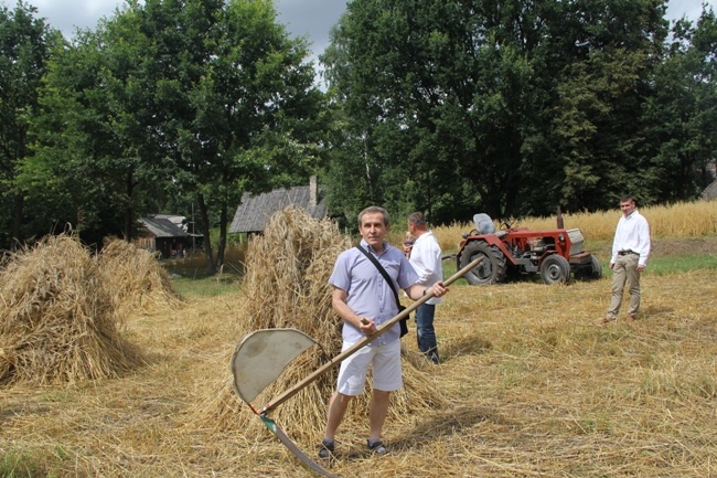 Żniwa w skansenie