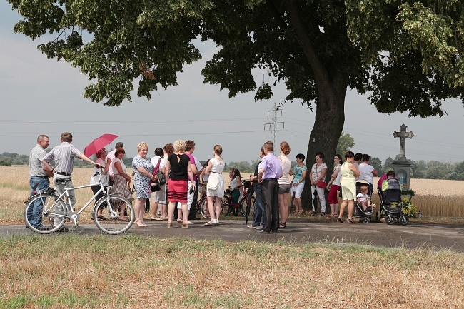 Otwarcie nowych ścieżek św. Jakuba