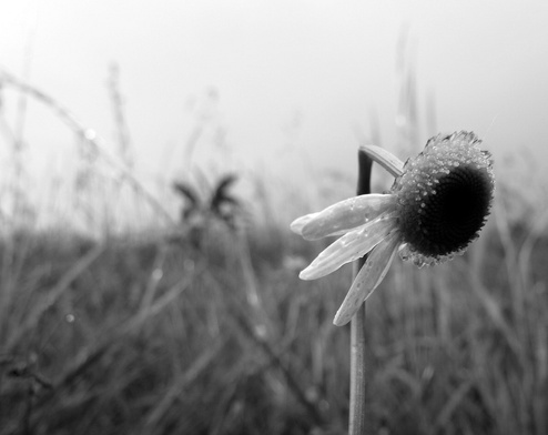 Minorowe nastroje Polaków