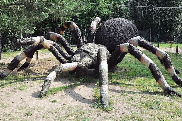 Model pająka ptasznika w parku rozrywki „Owadogigant”. Ten owad poluje także na małe gryzonie. Samice dożywają nawet 20 lat. W niektórych rejonach Azji są przysmakiem... szczególnie prażone