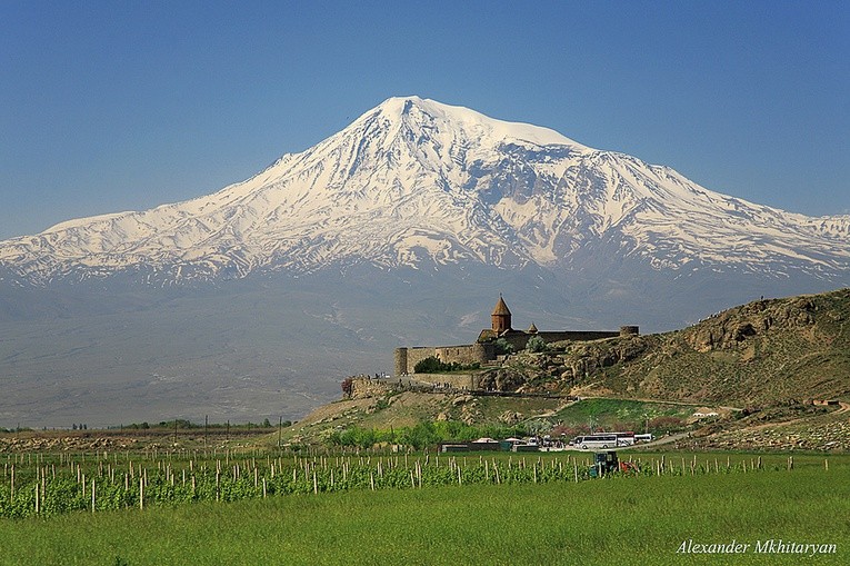 Pies, który czterokrotnie zdobył Ararat