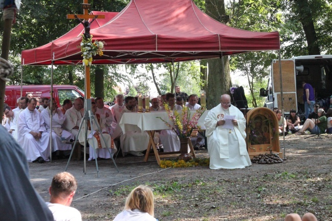 Z Oleśnicy do Namysłowa