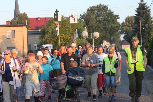 Z Borek Wielkich w stronę lasu za Dąbrową