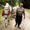 Ludwik Majerik pracuje przy wypalaniu węgla drzewnego. Pod wieczór wraca do domu, rozładowuje worki z węglem i jedyne, o czym marzy, to szybka kąpiel i odpoczynek