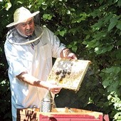  Prof. Adam Roman prowadzi swoje badania nad miodem od ponad 20 lat. Niedługo prace laboratoryjne wzbogaci materiał naukowy zdobyty w nowo budowanej, wzorcowej pasiece