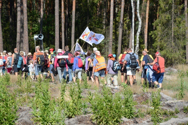 Wolontariusze ŚDM na pielgrzymce