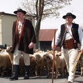 Świętowanie odbędzie się przy bacówce Piotra Kohuta w Koniakowie