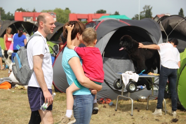 Międzynarodowa Wystawa Psów Rasowych 