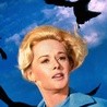 "Ptaki" - ostatni wielki film Hitchcocka?