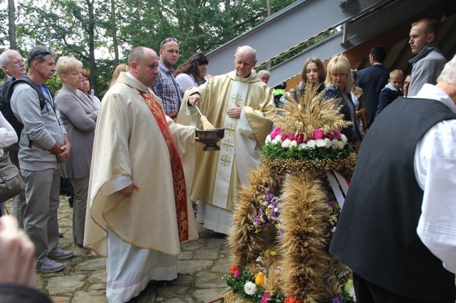 Chleb w roli głównej