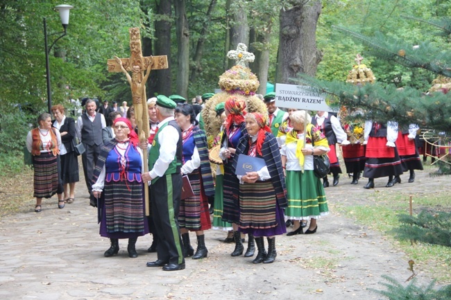 Chleb w roli głównej