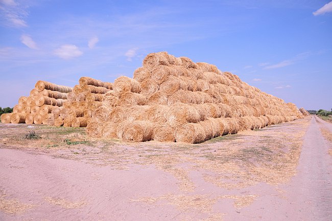 Mleczna kraina