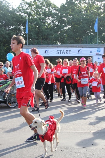 Wrocławski Maraton