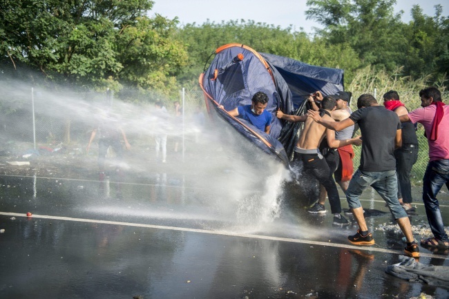 Starcia z imigrantami na granicy serbsko-węgierskiej