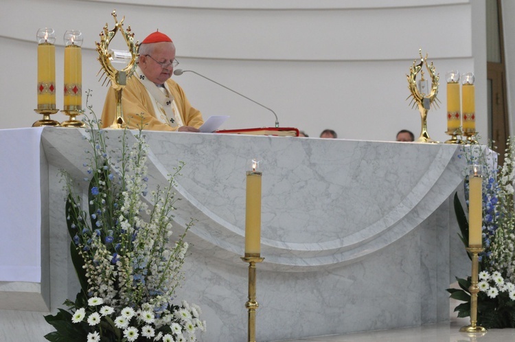 Diecezjalne dziękczynienie w Łagiewnikach