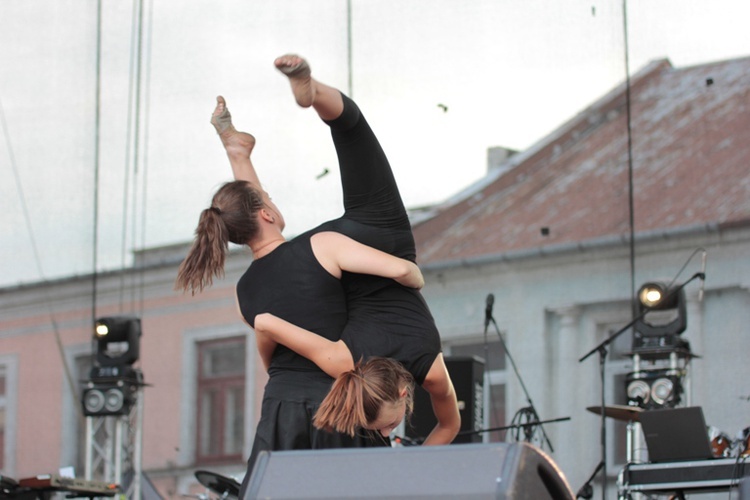Koncerty i pokaz sztucznych ogni w Skierniewicach w 2015 roku
