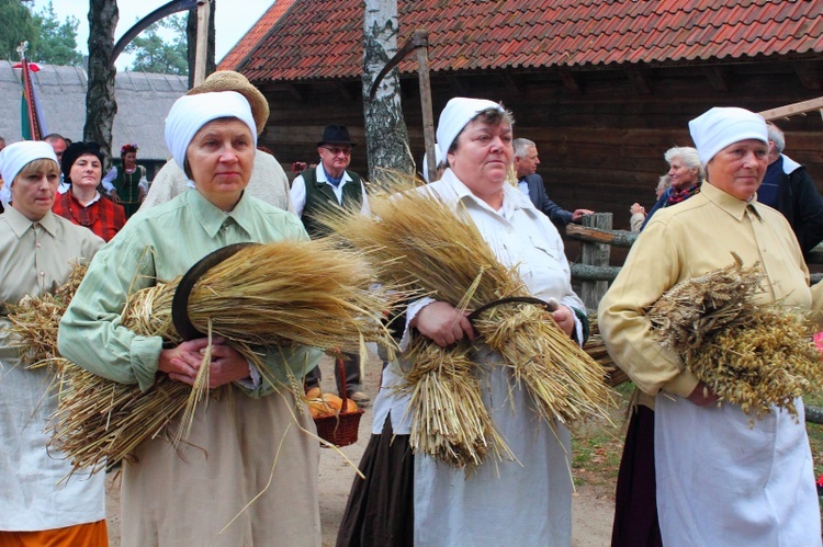 Dożynki Wojewódzkie w Olsztynku - 2015