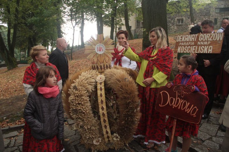 Dożynki diecezjalne' 2015