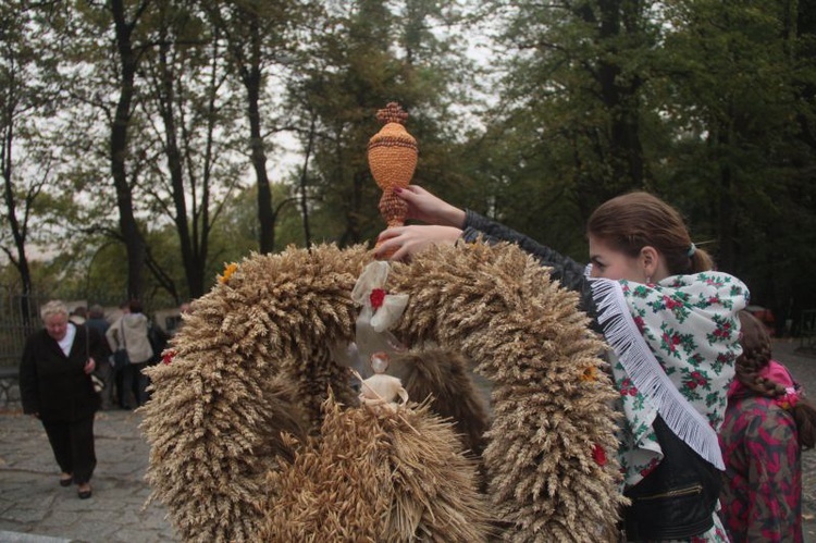 Dożynki diecezjalne' 2015