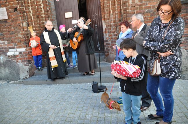 Błogosławieństwo zwierząt w Darłowie