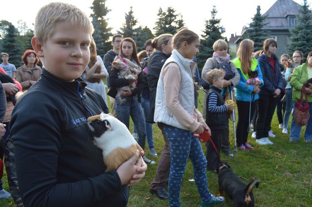 Nabożeństwo z udziałem czworonogów