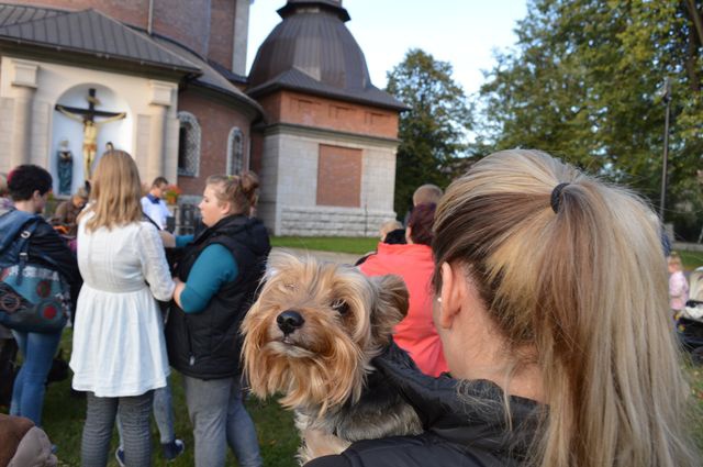 Nabożeństwo z udziałem czworonogów