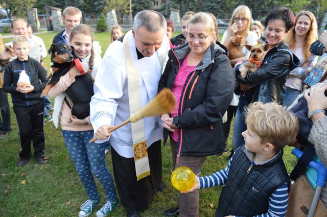 Nabożeństwo z udziałem czworonogów