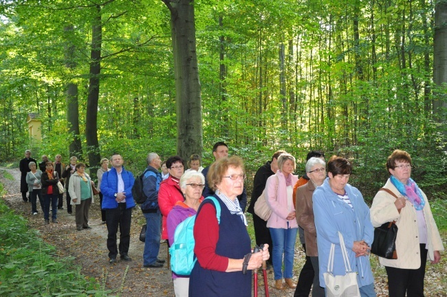 Pielgrzymka Caritas do Trzebnicy