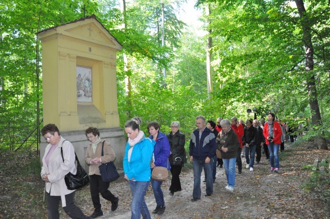 Pielgrzymka Caritas do Trzebnicy