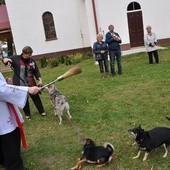 Błogosławieństwo zwierząt w Manowie