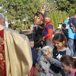 Msza św. Franciszka w Lutomii