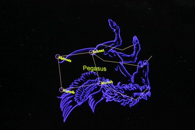 Planetarium Wenus w Zielonej Górze