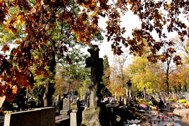 Wszystkich Świętych na cmentarzu na Woli