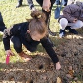 Dzieci sadzą cebulki dla chorych