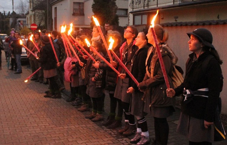 Święto Niepodległości 2015 w Bielsku-Białej