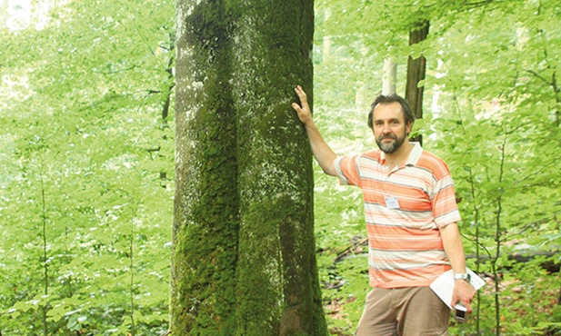 Jerzy Szwagrzyk przy pniu ponad 300-letniego buka w Rezerwacie Biosfery „Uholka” na ukraińskim Zakarpaciu