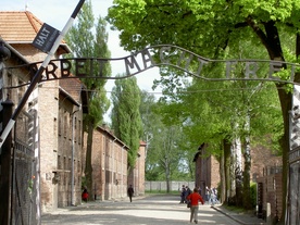 Do Auschwitz, by zrobić miejsce Niemcom