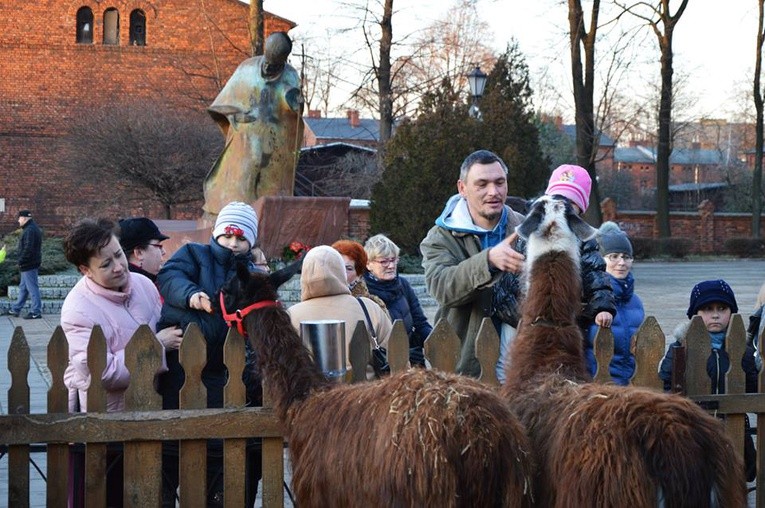 Mieszkańcy lubią dokarmiać zwierzęta