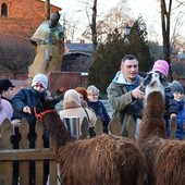 Mieszkańcy lubią dokarmiać zwierzęta