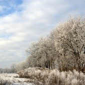 Możesz uratować życie