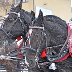 44. Góralski Karnawał w Bukowinie Tatrzańskiej - cz. 2