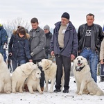 44. Góralski Karnawał w Bukowinie Tatrzańskiej - cz.3