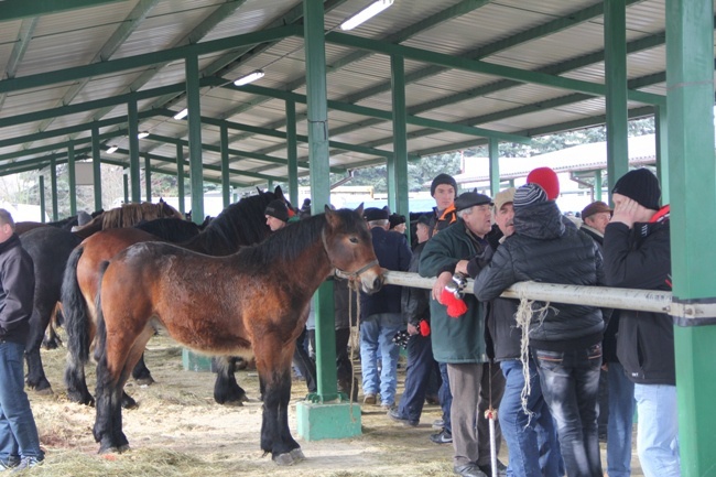 Skaryszewskie „Wstępy 2016”