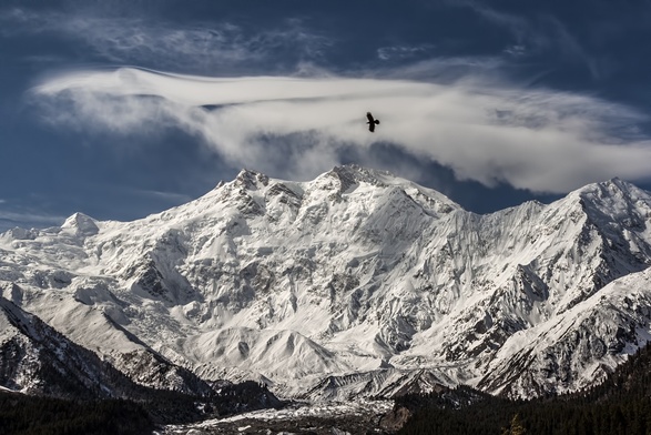 Nanga Parbat zdobyta po raz pierwszy zimą