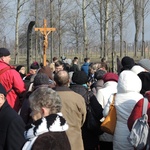 Droga Krzyżowa na terenie KL Auschwitz-Birkenau