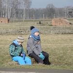 Droga Krzyżowa na terenie KL Auschwitz-Birkenau